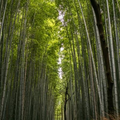 澳大利亚采购日本护卫舰 - August 6, 2025